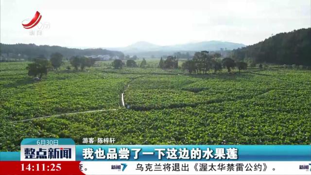 整点新闻20250630 14：00