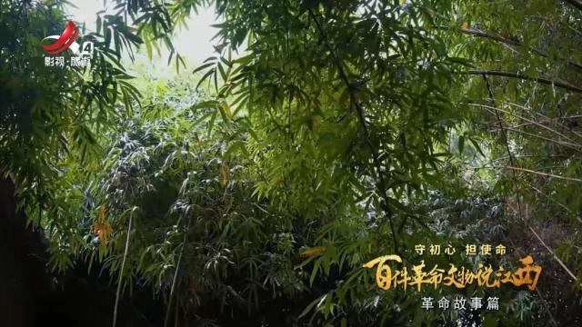 江西文旅报道20250606
