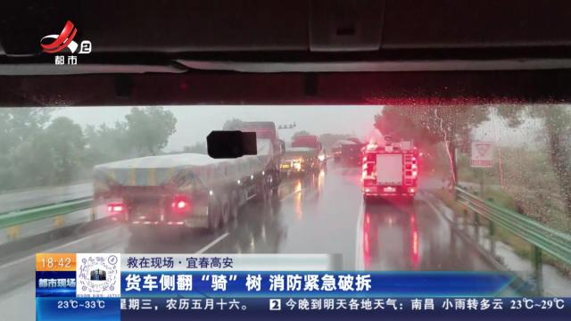 【救在现场】宜春高安：货车侧翻“骑”树 消防紧急破拆