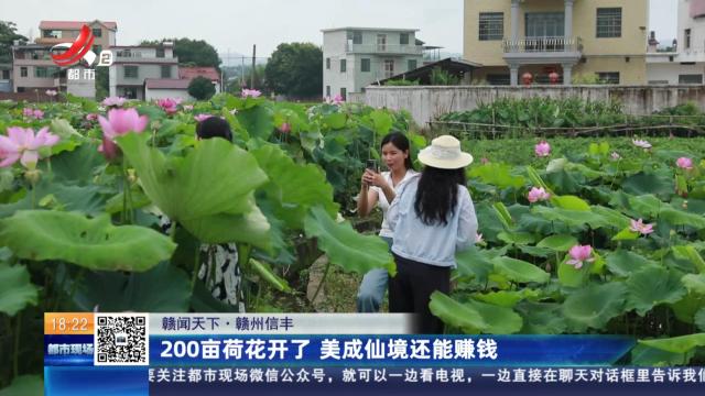 【赣闻天下】赣州信丰：200亩荷花开了 美成仙境还能赚钱