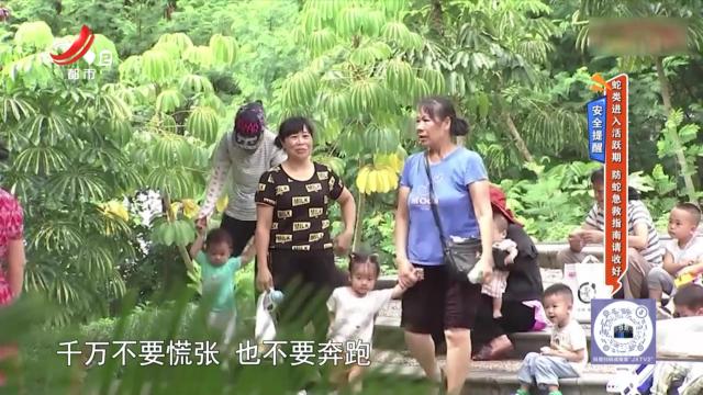地宝当家20250607