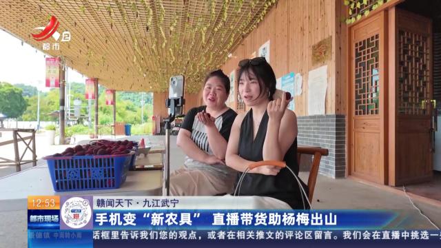 【赣闻天下】九江武宁：手机变“新农具” 直播带货助杨梅出山