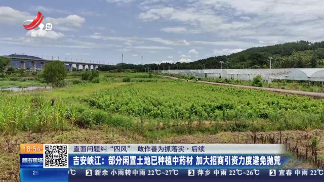 都市现场20250622