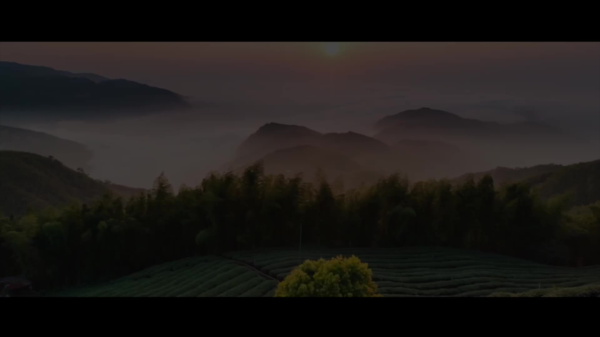 第十六集 天下老表