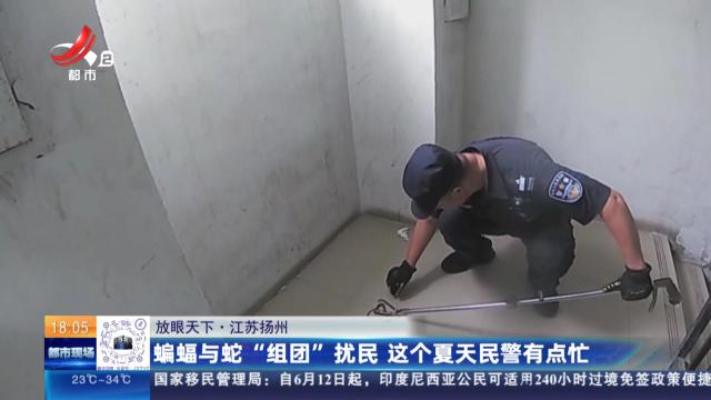 【放眼天下】江苏扬州：蝙蝠和蛇“组团”扰民 这个夏天民警有点忙