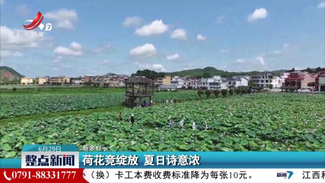整点新闻20250629 14：00