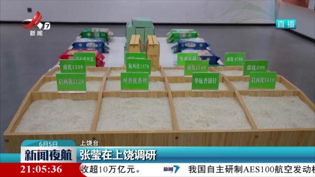 张莹在上饶调研