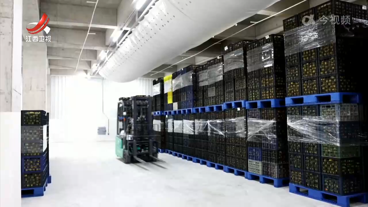 赣州入选全国2025年现代商贸流通体系试点城市