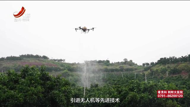 农问20250628