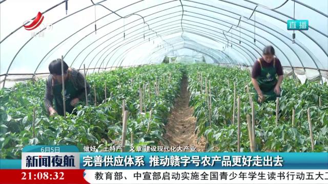 【做好“土特产”文章 建设现代化大产业】完善供应体系 推动赣字号农产品更好走出去