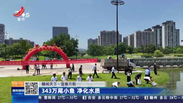 【赣闻天下】宜春万载：343万尾小鱼 净化水质