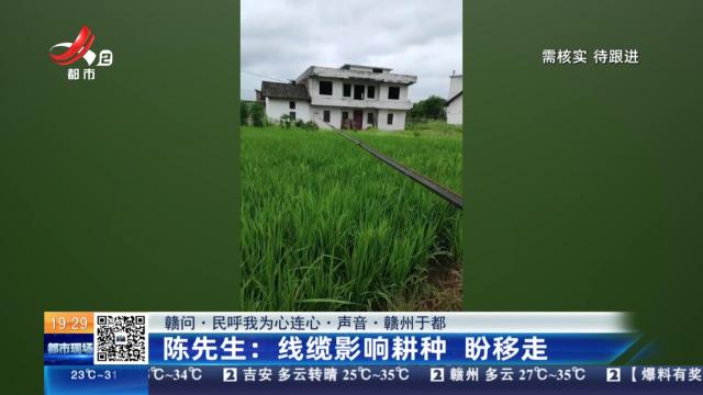 【赣问·民呼我为心连心·声音·赣州于都】陈先生：线缆影响耕种 盼移走