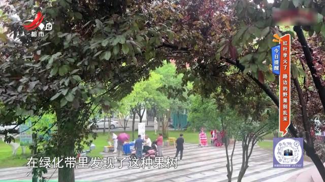 地宝当家20250624
