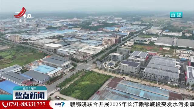 整点新闻20250619 10：00