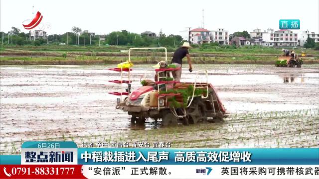 中稻栽插进入尾声 高质高效促增收