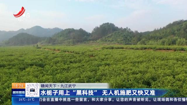 【赣闻天下】九江武宁：水栀子用上“黑科技” 无人机施肥又快有准