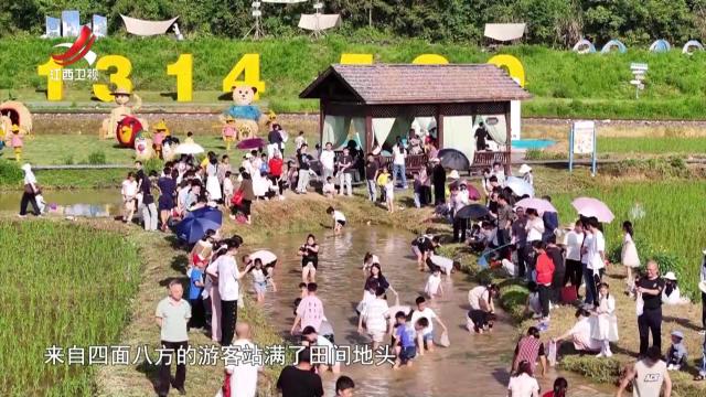 社会传真20250608 激发新动能 “乡货”变“香货”
