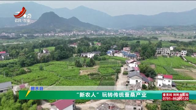 三农头条20250603