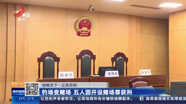 都市现场20250623