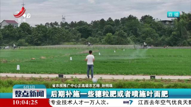 整点新闻20250603 10:00
