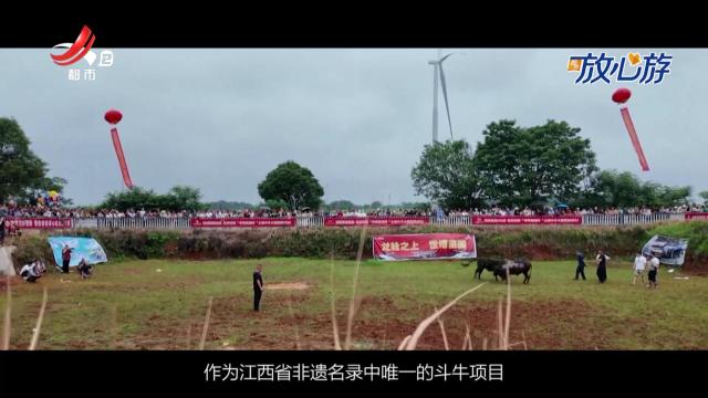 都市放心游20250615