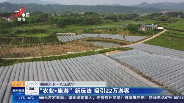 【赣闻天下】九江武宁：“农业+旅游”新玩法 吸引22万游客