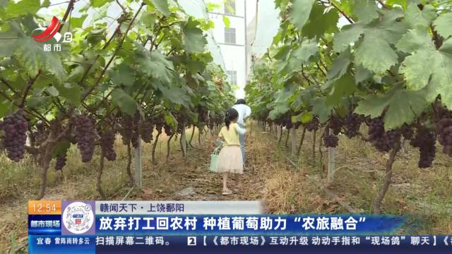 【赣闻天下】上饶鄱阳：放弃打工回农村 种植葡萄助力“农旅融合”