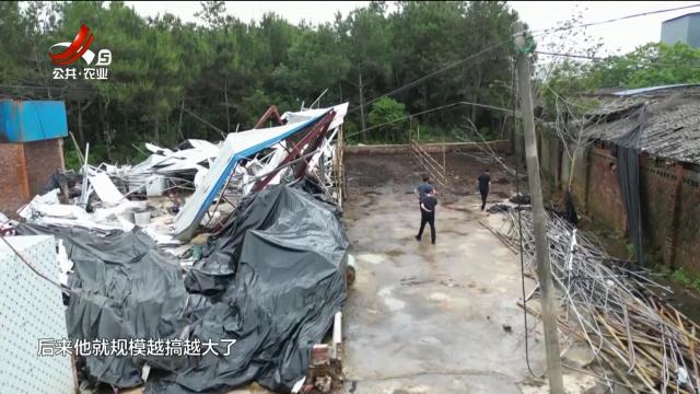 省委民声通道20250601