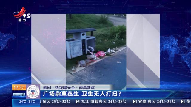 【赣问·热线曝光台】南昌新建：广场杂草丛生 卫生无人打扫？
