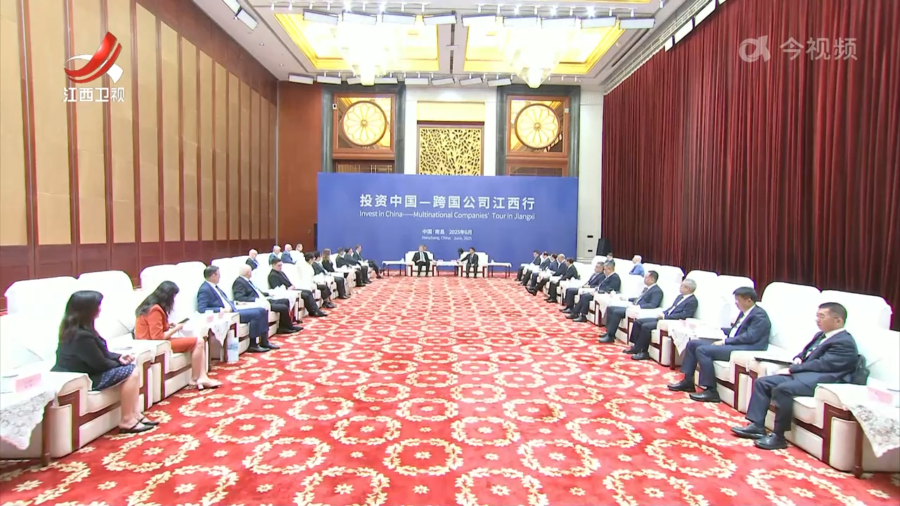 叶建春会见德国企业家代表团