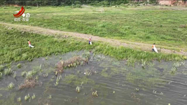 新闻晚高峰20250605