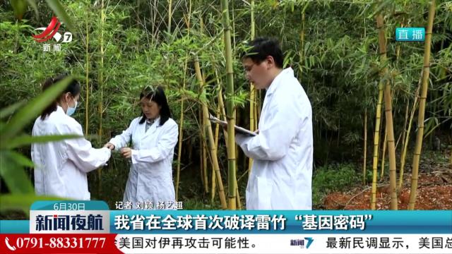 我省在全球首次破译雷竹“基因密码”
