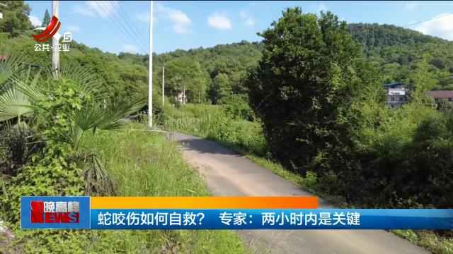 蛇咬伤如何自救？ 专家：两小时内是关键