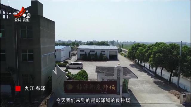 稻花香里20250610 乡村振兴进行时——三十年只为一条鱼