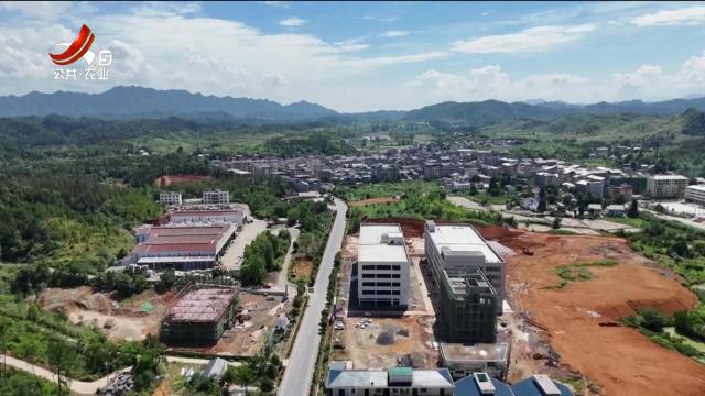 新闻晚高峰20250625