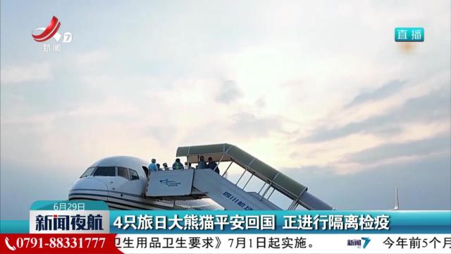 4只旅日大熊猫平安回国 正进行隔离检疫