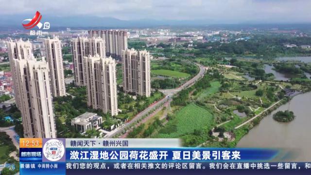 【赣闻天下】赣州兴国：潋江湿地公园荷花盛开 夏日美景引客来