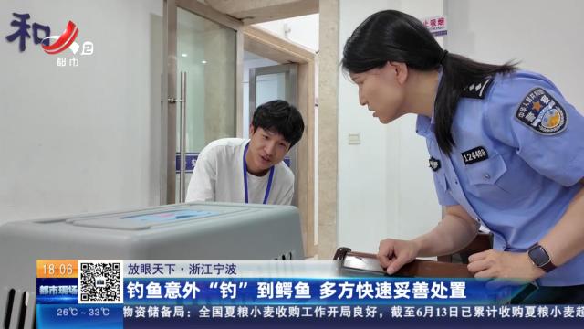 【放眼天下】浙江宁波：钓鱼意外“钓”到鳄鱼 多方快速妥善处置