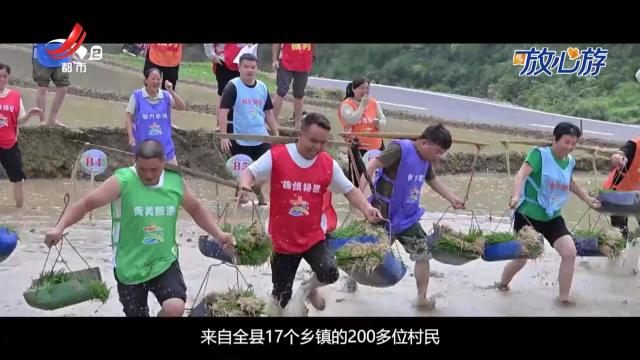 都市放心游·放心游指南20250629