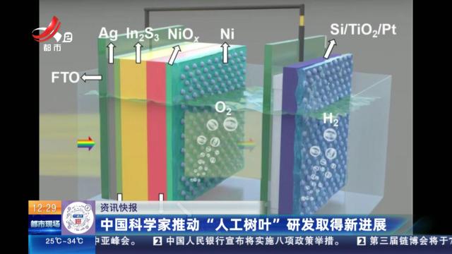 中国科学家推动“人工树叶”研发取得新进展