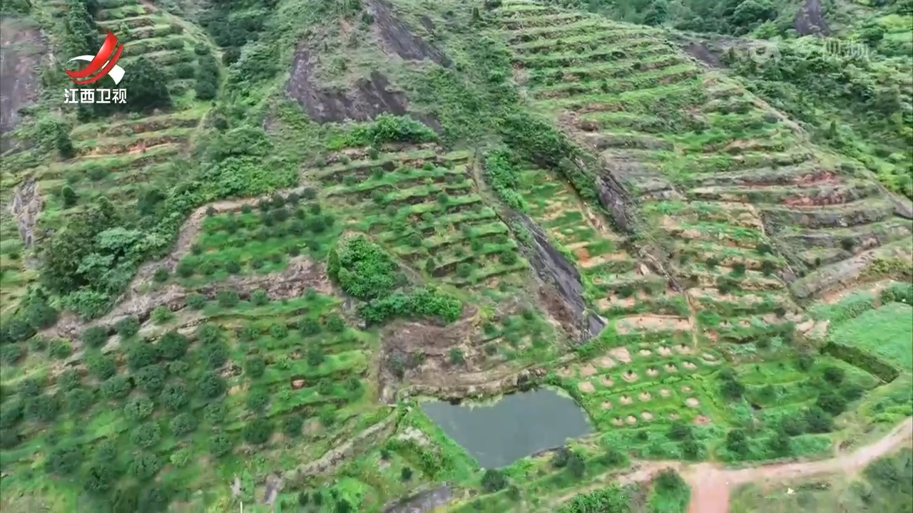 我省启动实施耕地“山上换山下”