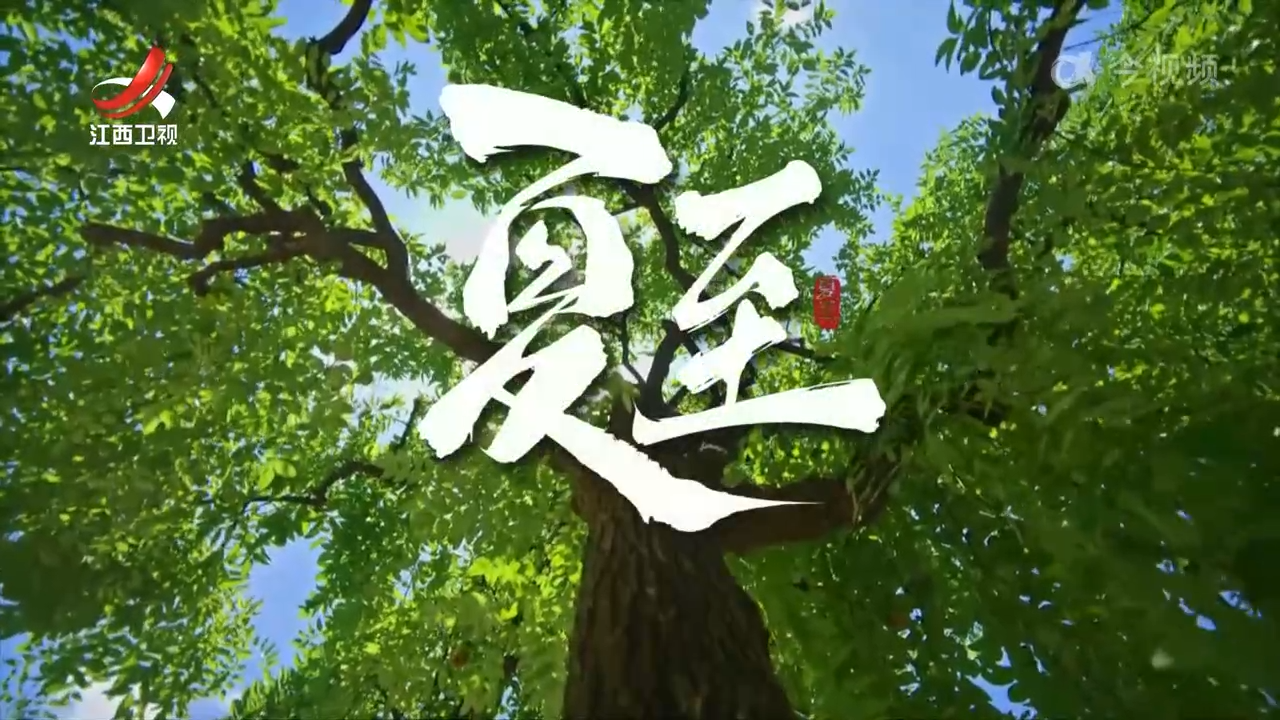 【文化中国行】二十四节气·夏至