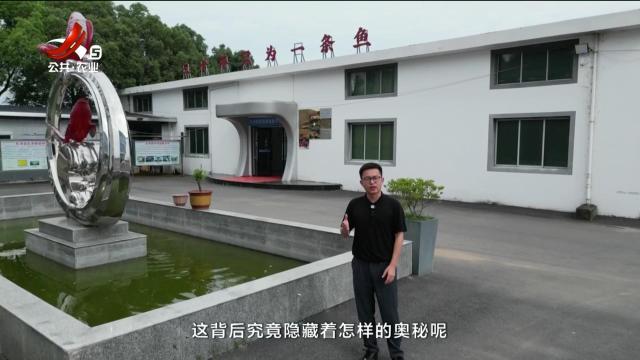 从田园到餐桌20250621