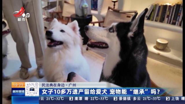 【民法典在身边】广州：女子10多万遗产留给爱犬 宠物能“继承”吗？