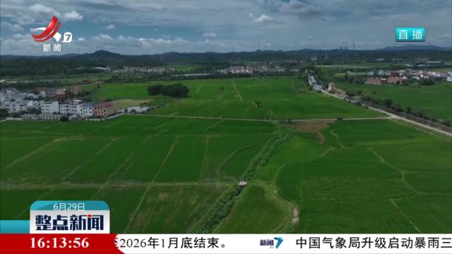 科技助力田间管理 全力保障粮食丰收