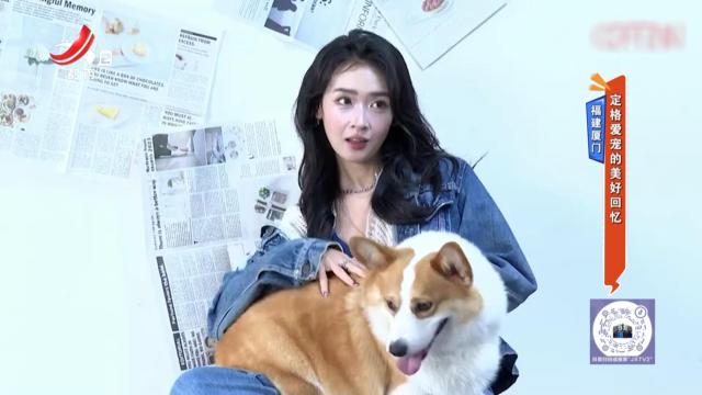 福建厦门：定格爱宠的美好回忆