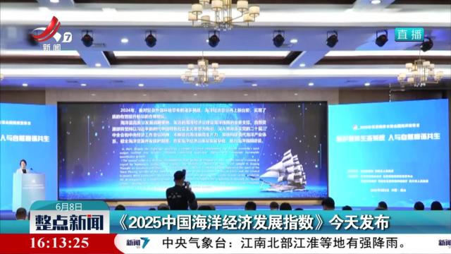 《2025中国海洋经济发展指数》今天发布
