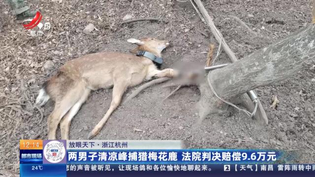 【放眼天下】浙江杭州：两男子清凉峰捕猎梅花鹿 法院判决赔偿9.6万元