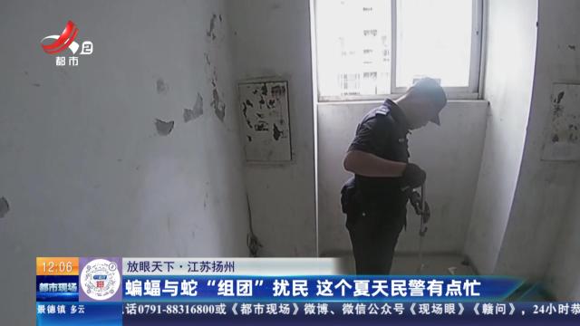 【放眼天下】江苏扬州：蝙蝠与蛇“组团”扰民 这个夏天民警有点忙