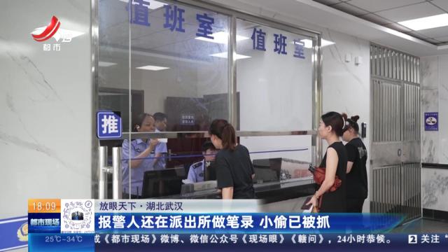 【放眼天下】湖北武汉：报警人还在派出所做笔录 小偷已被抓